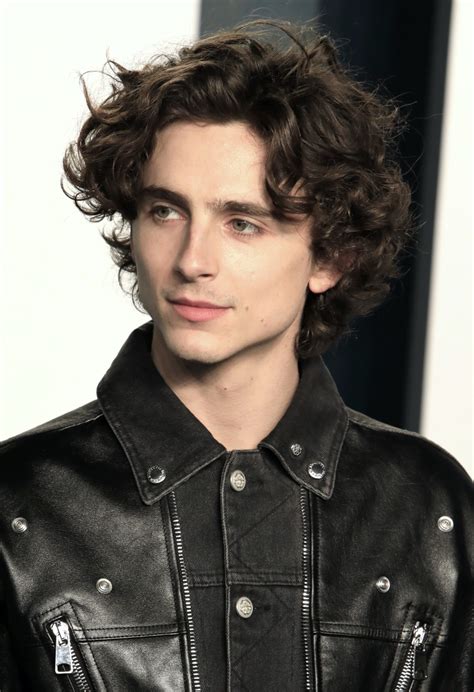 timothee chalamet dior|timothee chalamet hair.